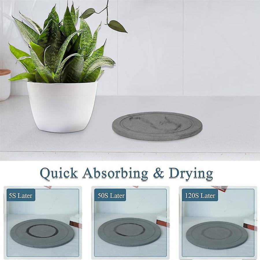 Plant Saucer Flower Pot Saucers Plant Trays for Pots Instant Dry Diatomaceous Drip Trays for Indoors