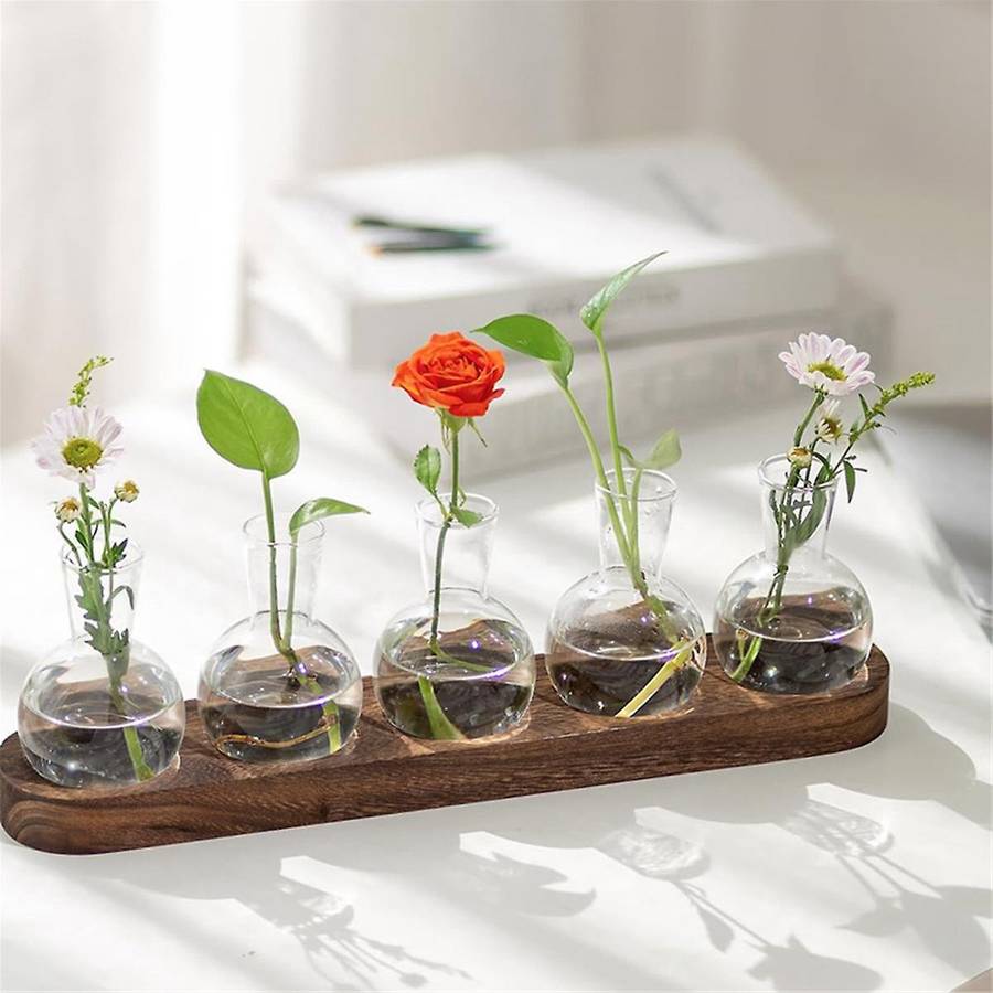 Plant Terrarium Propagation Station, Glass Planter Bulb Vase with Wooden Tray, Modern Bud Vases for