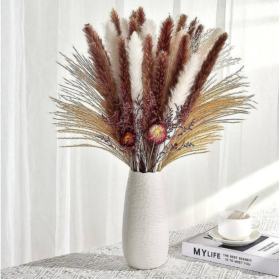 Natural Dried Pampas Grass,pampas Grass,reed,for Home Wedding Decor