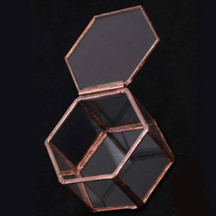 Geometrisches Glas Terrarium Schmuckschatulle Sukkulente Pflanzgef