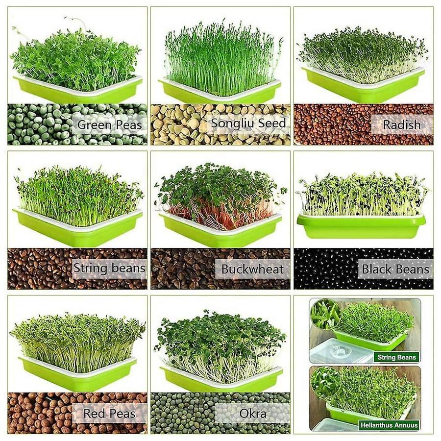 5pcs Seed Sprouter Tray Nursery Tray Seed Germination Tray