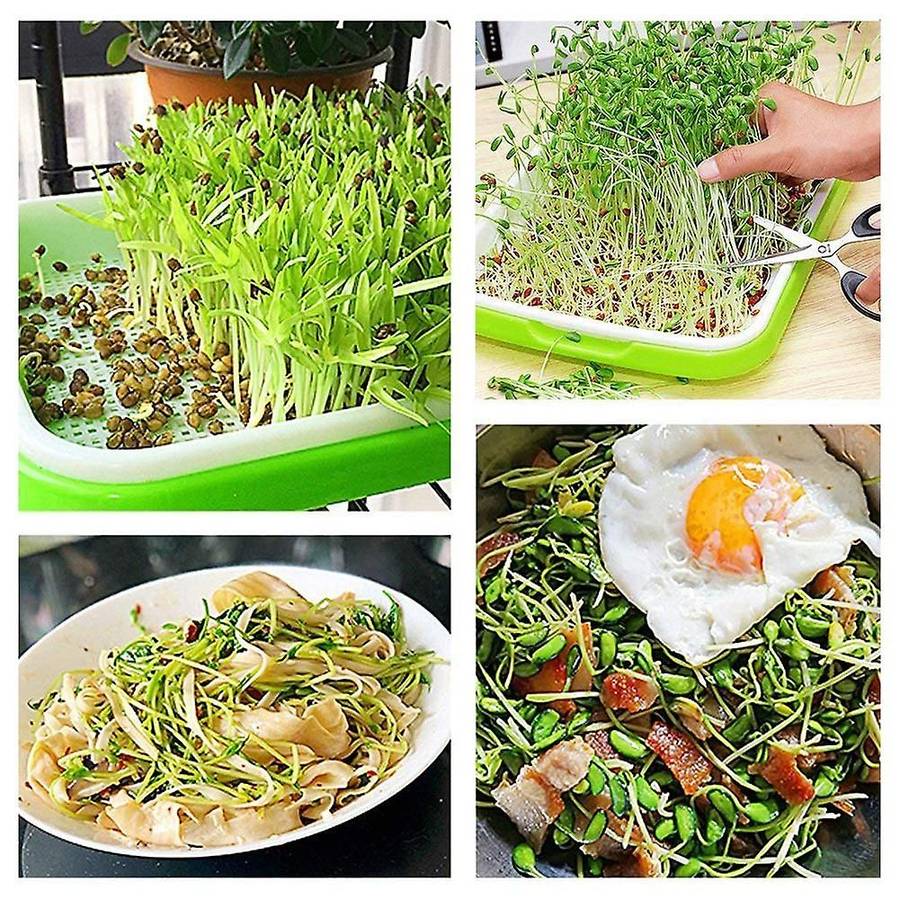 5pcs Seed Sprouter Tray Nursery Tray Seed Germination Tray