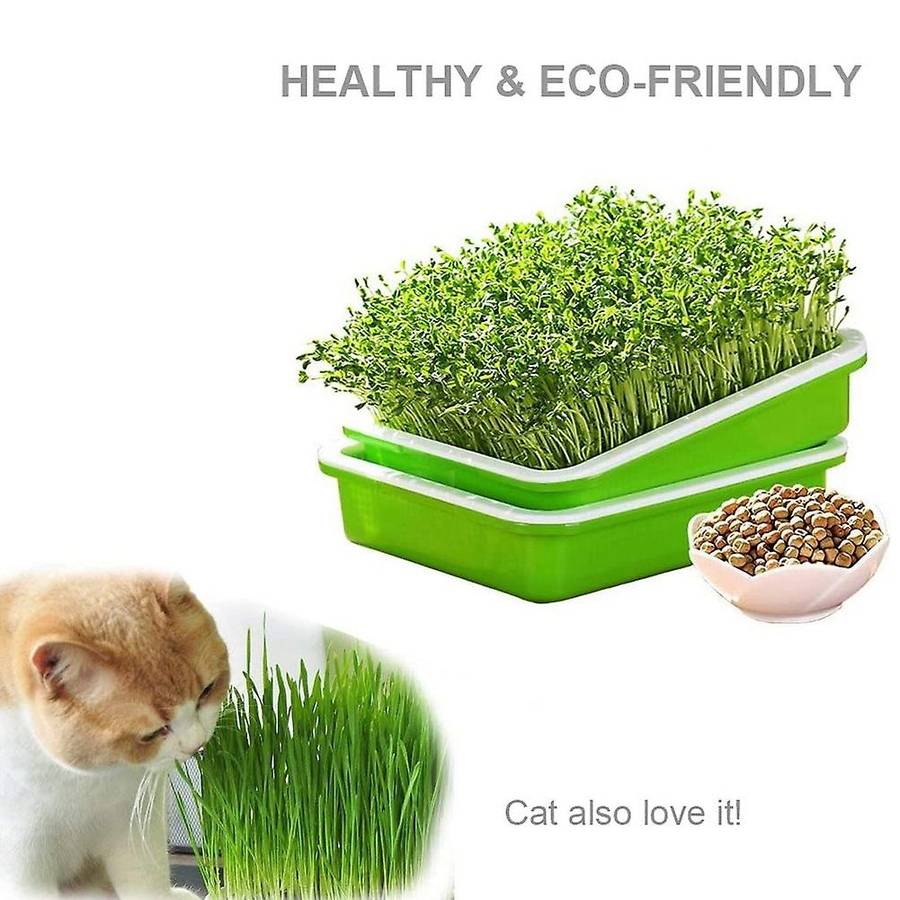 5pcs Seed Sprouter Tray Nursery Tray Seed Germination Tray