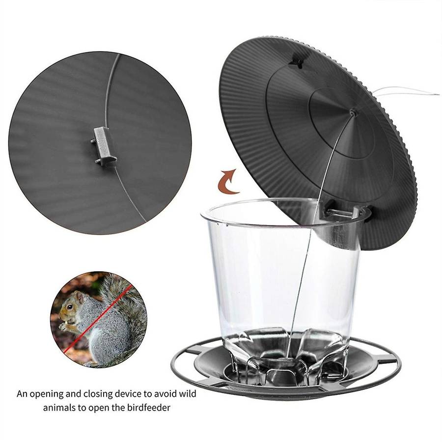 Bird Feeders Outdoors Hanging Squirrel Proof Easy Clean and Fill Adjustable Feeder Multiple Hole Dis