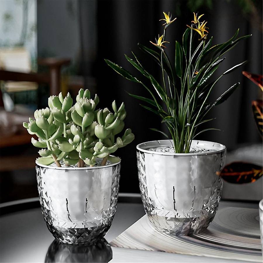 Self Watering Flowerpot Automatic Water Absorbing Flowerpot Transparent Double Layer Plastic Plant P
