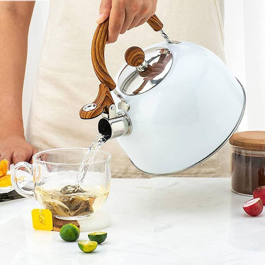 Tea Kettle, 2.5l Stainless Steel Whistling Tea Pots for , with Handle Loud and Anti-rust Quick Boil