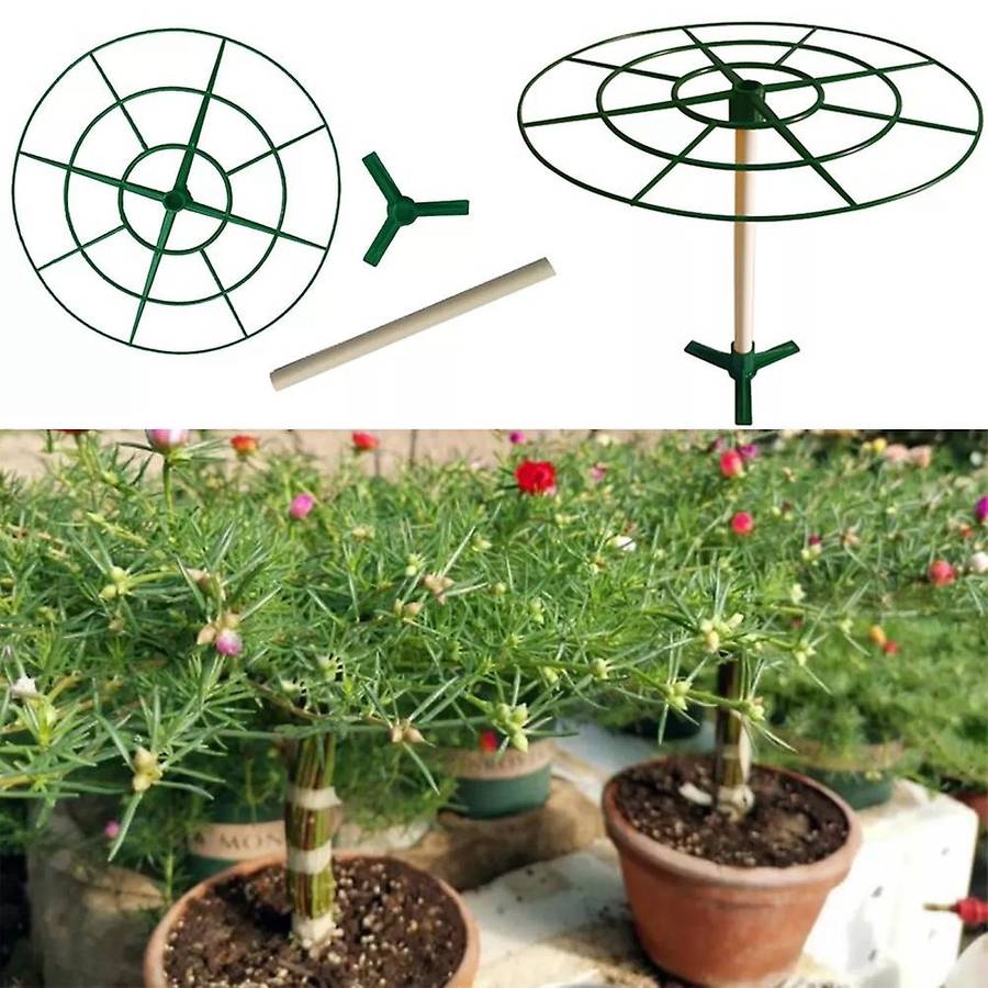 5pcs Round Plant Support Frame Vegetable Strawberry Stand Scalable