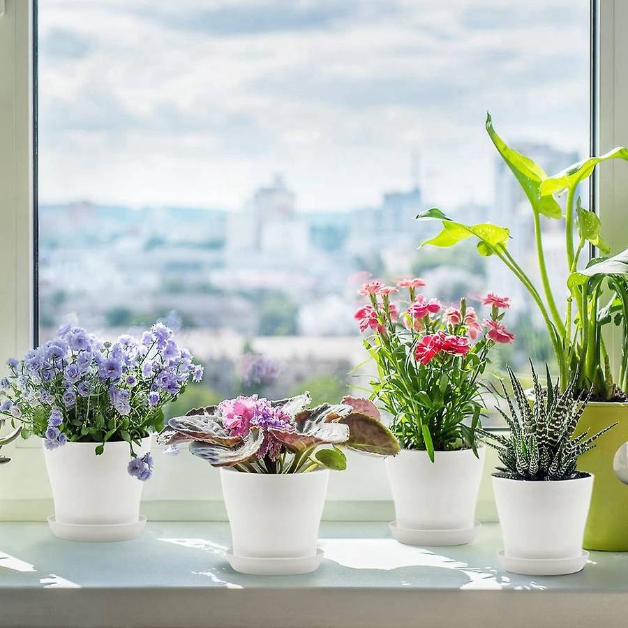 24pcs 4 Inch Plant Pot with Saucers Flower Pots White