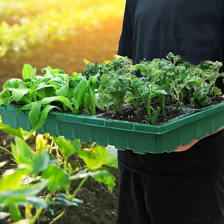 Greenhouse Seed Starter Seedling Trays Flower Plant Germination Black
