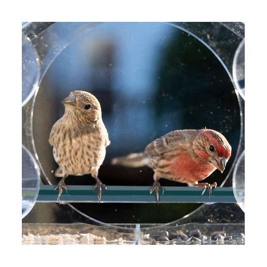Window Bird Feeders with Strong Suction Cups, Clear for Outside,bird House with 2 Compartment Remov