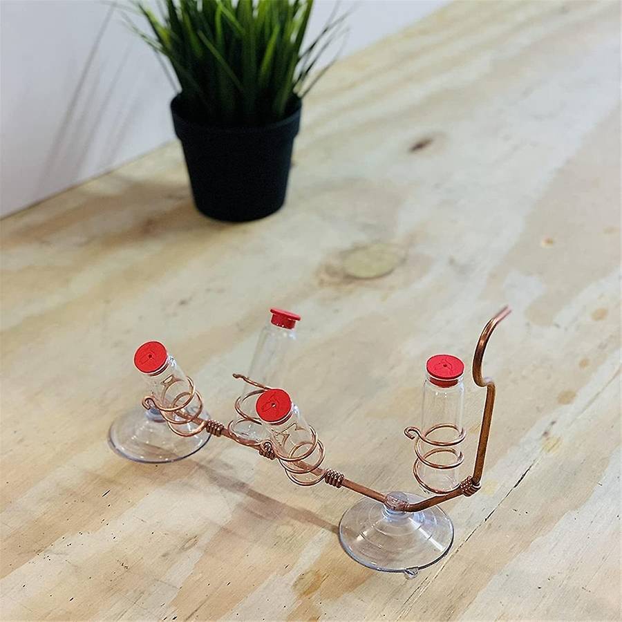 Window Bird Feeder Feeder Animal Window Bird Feeder Suction Cup Glass Decoration