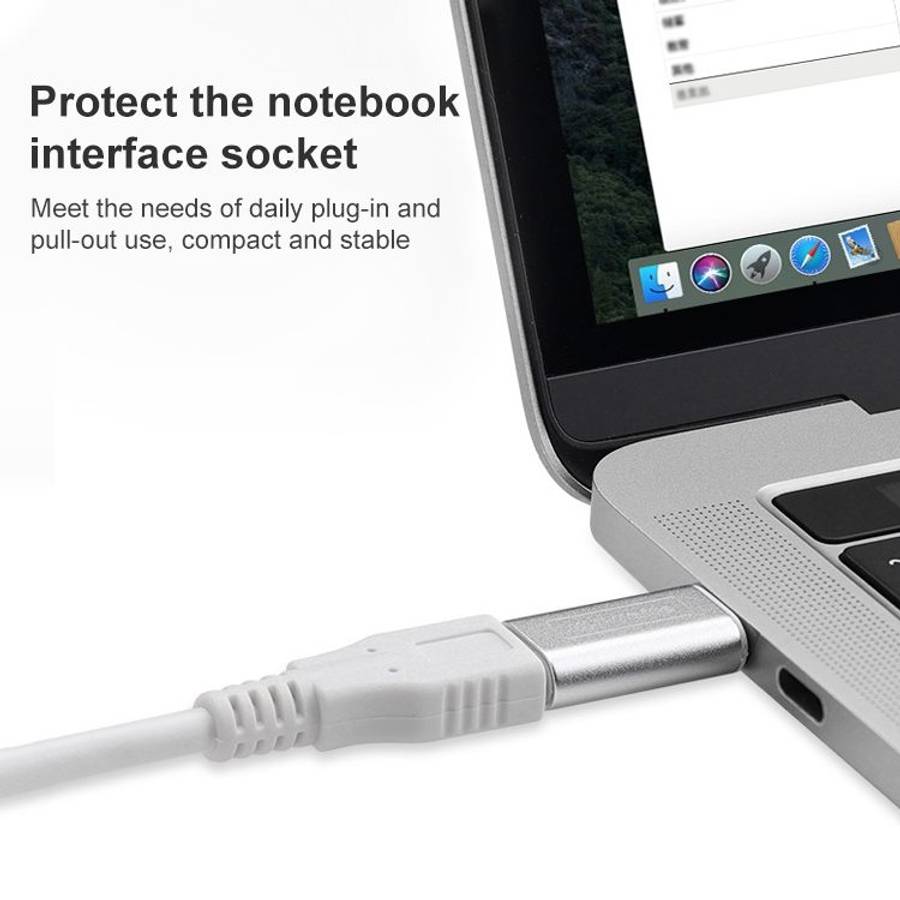 Type-C / USB-C to USB 3.1 MF Adapter(Grey)