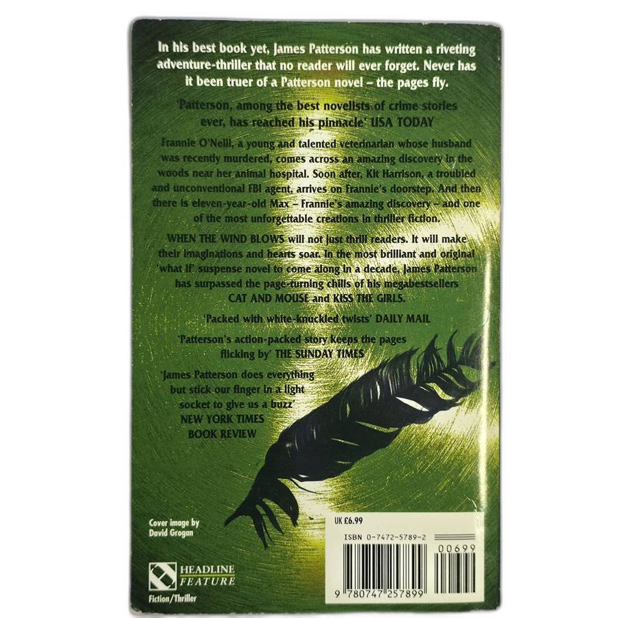 When the Wind Blows - James Patterson