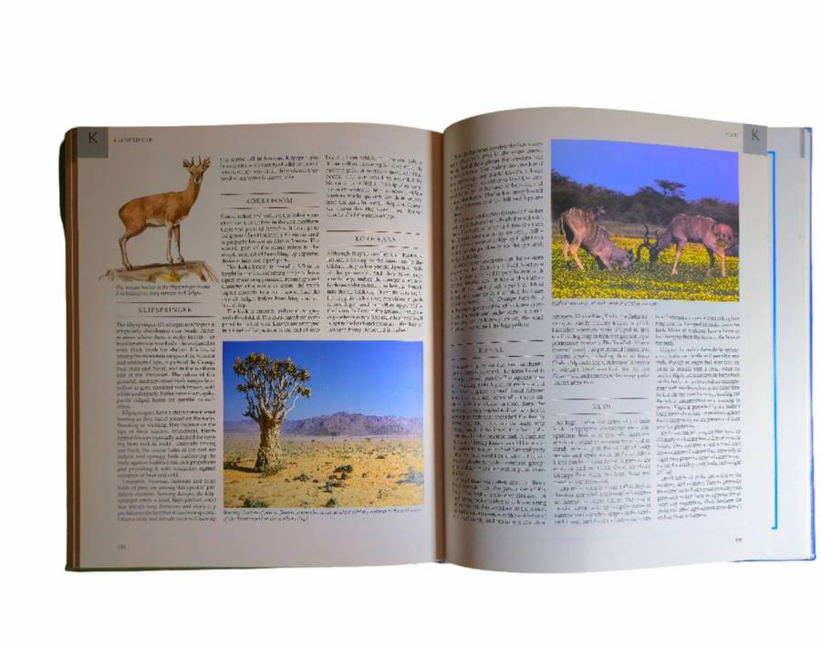The Great South African Outdoors