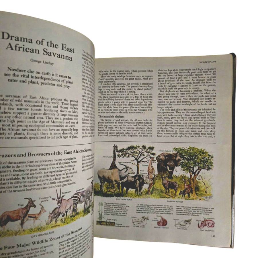 Our magnificent wildlife: how to enjoy and preserve it.