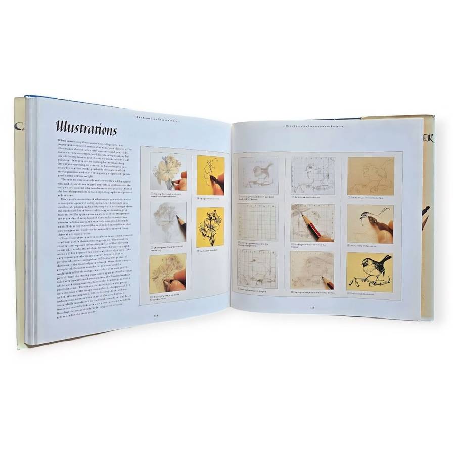 The complete calligrapher - Emma Callery