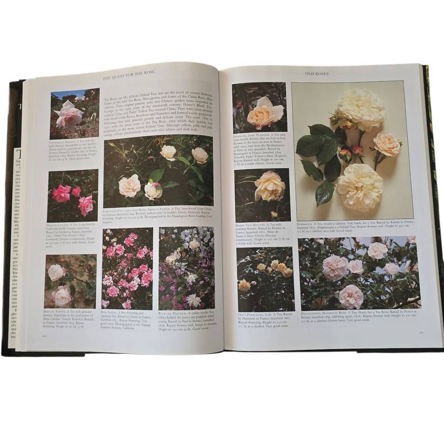 The Quest for the Rose - Roger Phillips & Martyn Rix