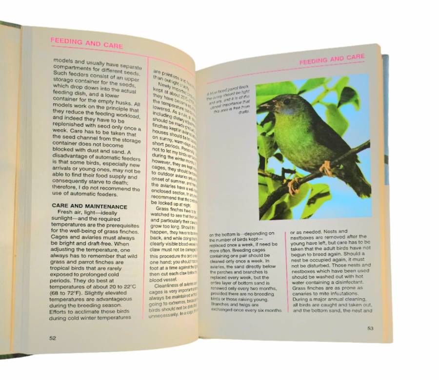 Finches - Curt Enehjelm