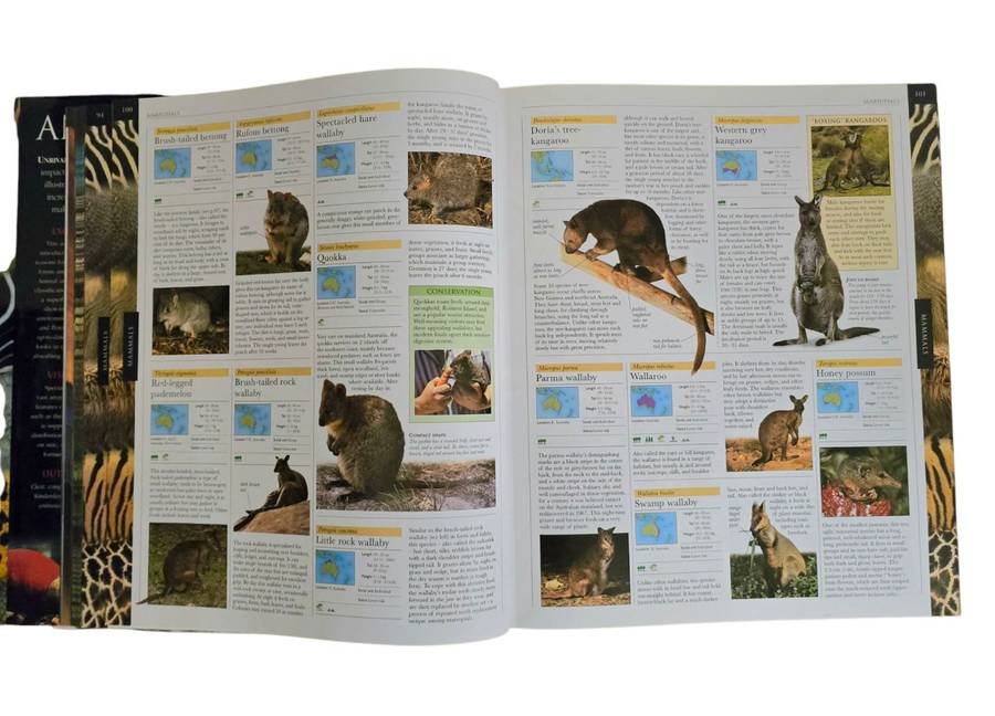 Animal: The definitive visual guide