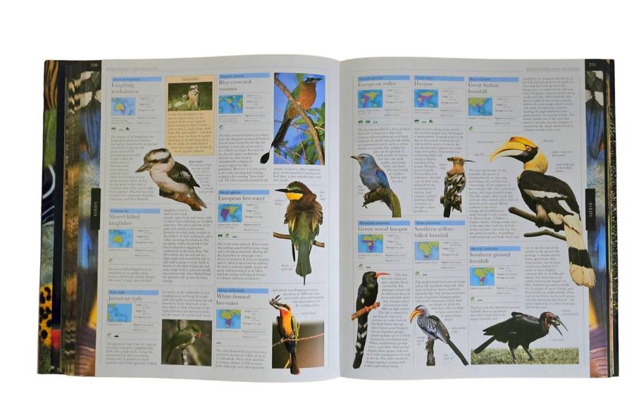 Animal: The definitive visual guide