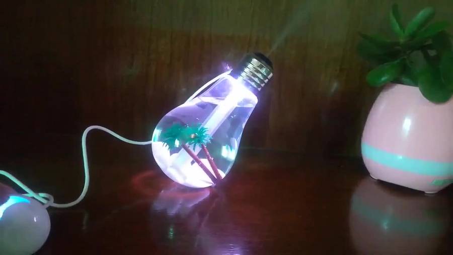 Bulb Humidifier