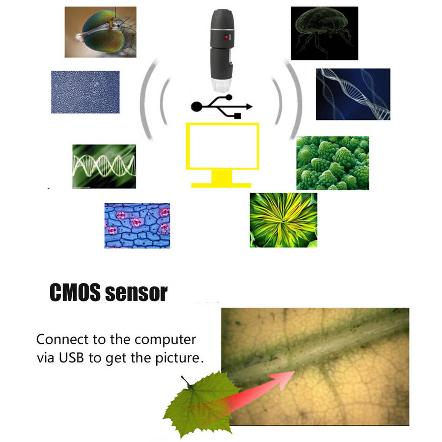 Handheld 8 LED USB 1600X Zoom Digital Microscope Biological Endoscope