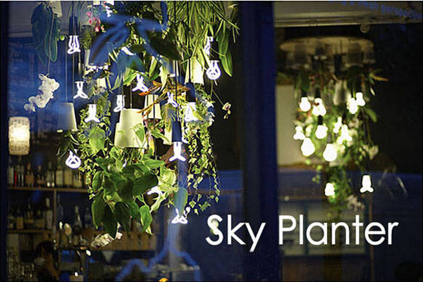 sky planter