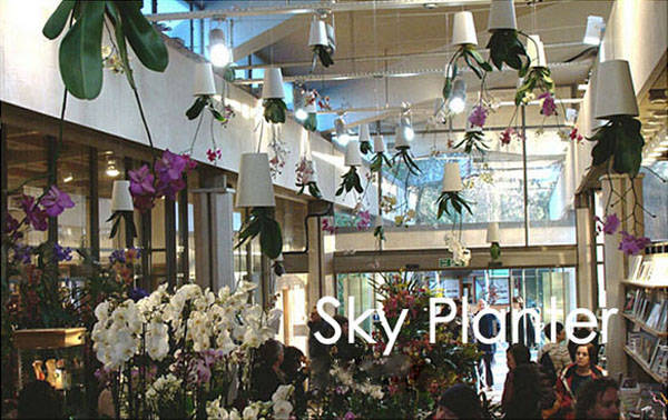 sky planter