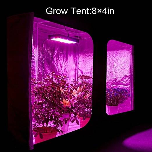 1200W Double Chips LED Grow Light Full Spectrum Grow Lamp for Greenhouse Hydroponic Indoor Plants