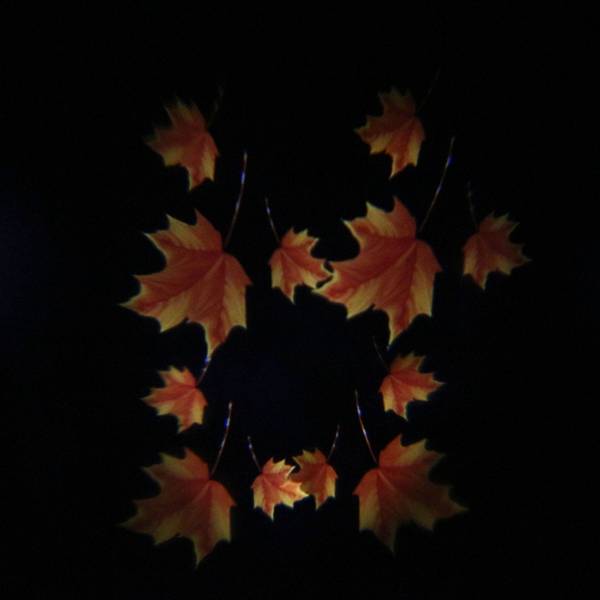 2 X 12 Patterns 4W LED Remote Projector Stage Light Moving Laser Spotlightt for Christmas Halloween