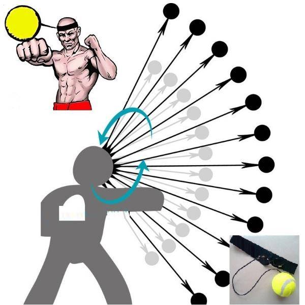 IPRee Fight Ball Boxing Speed Ball With Head Band For Reflex Speed Training Boxing Punch Exercise