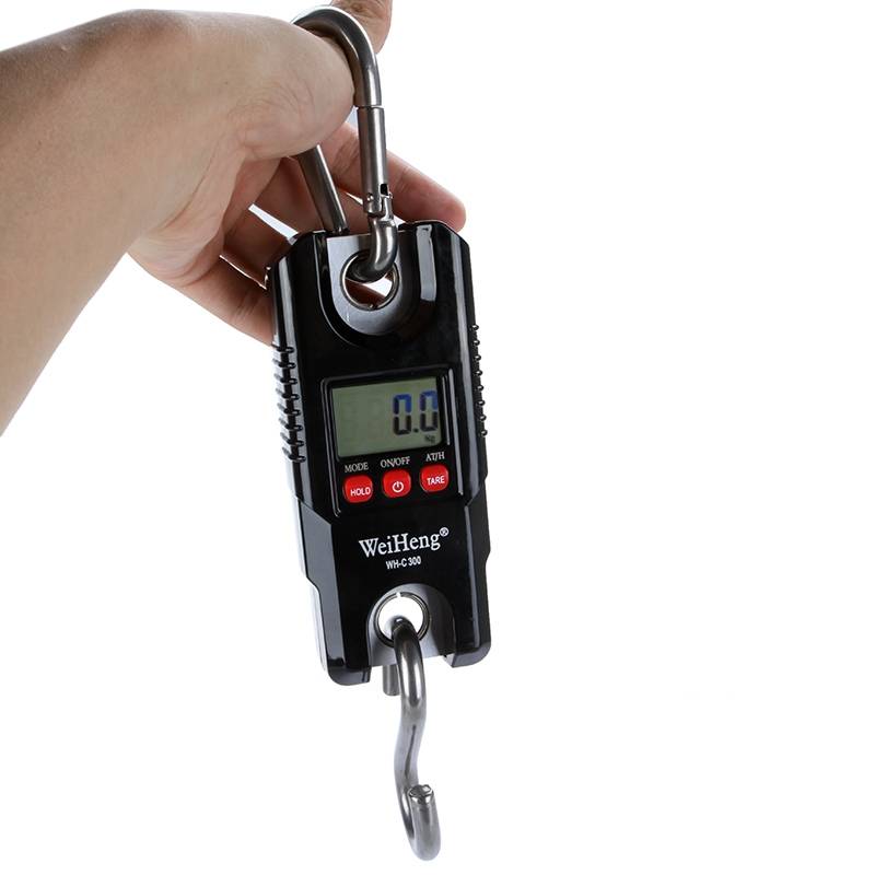 WH-C300 Mini 300Kg 100g Heavy Duty Hook Hanging Electronic Digital Scale Crane Weight Scale