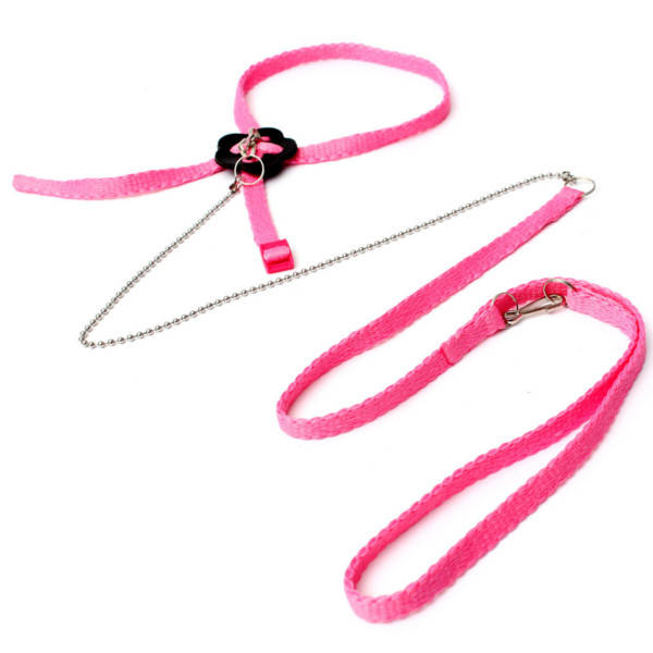 Parrot Anti-bite Random Harness
