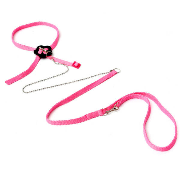 Parrot Anti-bite Random Harness