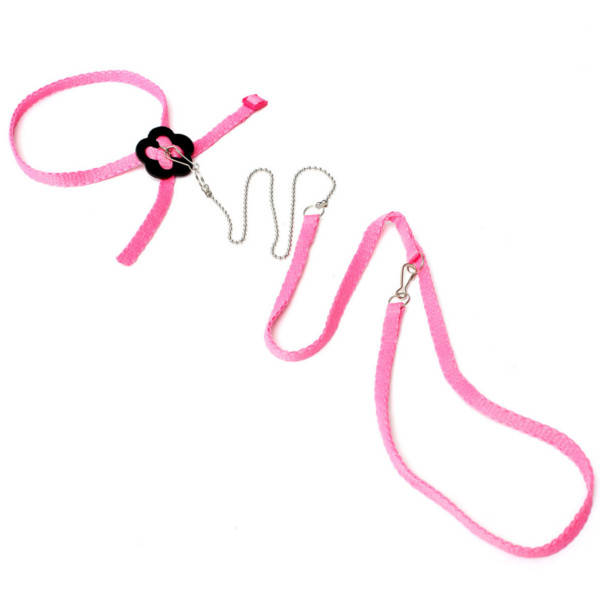 Parrot Anti-bite Random Harness