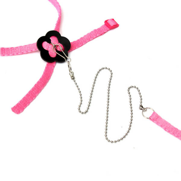 Parrot Anti-bite Random Harness