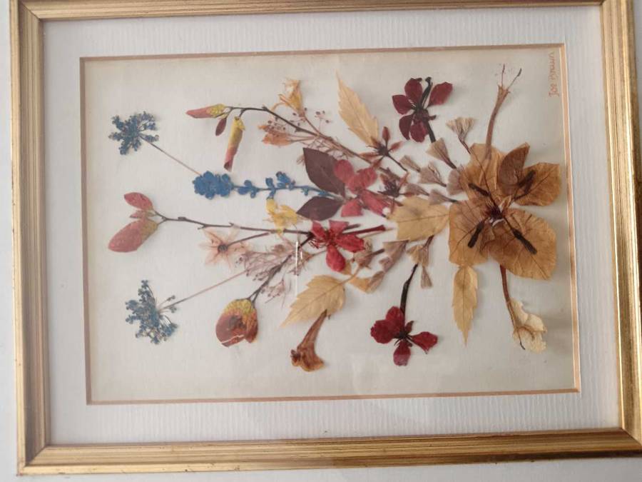 Pair of Beautiful Framed Pressed Botanical Flower Pictures by Joe Braun