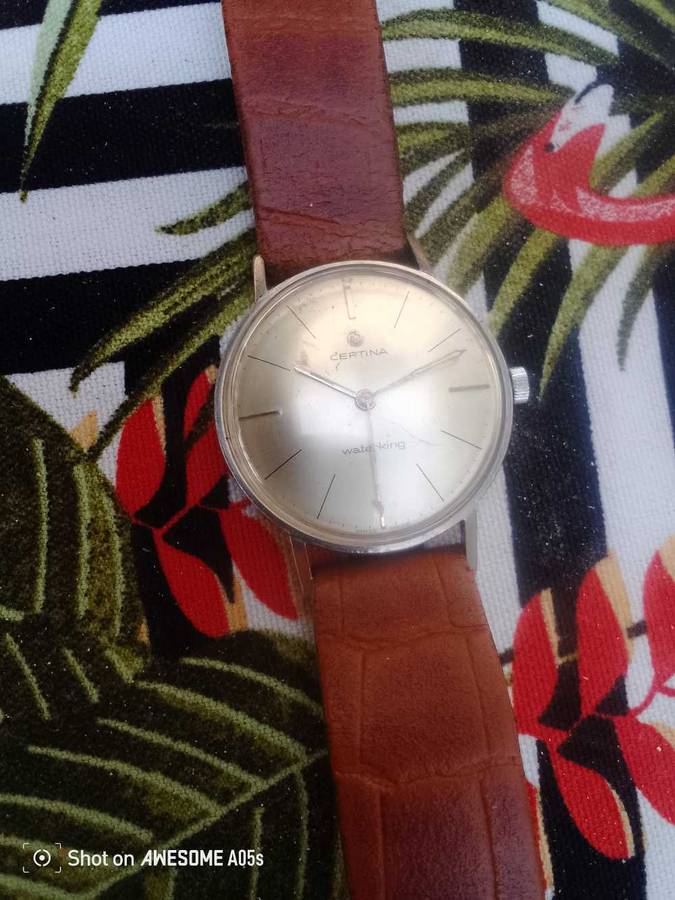 Certina Waterking manual