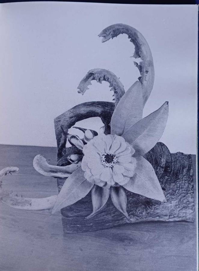 Die kuns van blommerangskikking deur Mattie M du Toit 1954