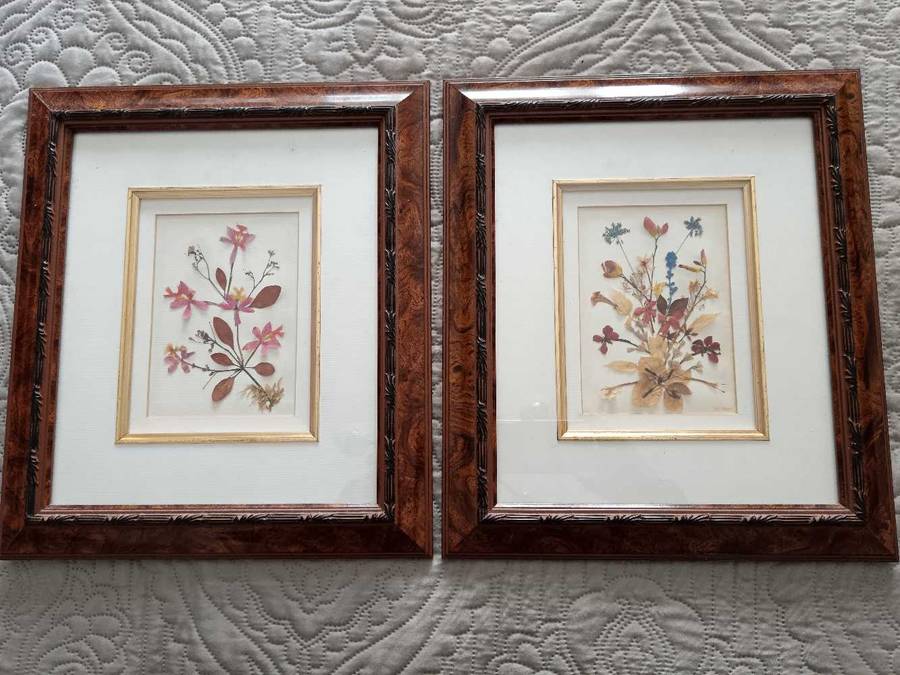 Pair of Beautiful Framed Pressed Botanical Flower Pictures by Joe Braun
