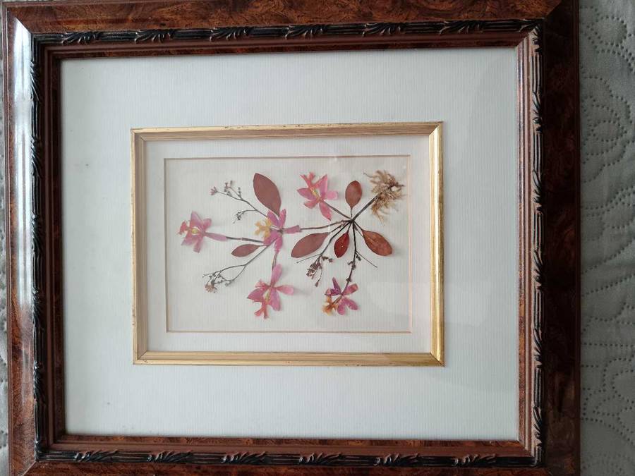 Pair of Beautiful Framed Pressed Botanical Flower Pictures by Joe Braun