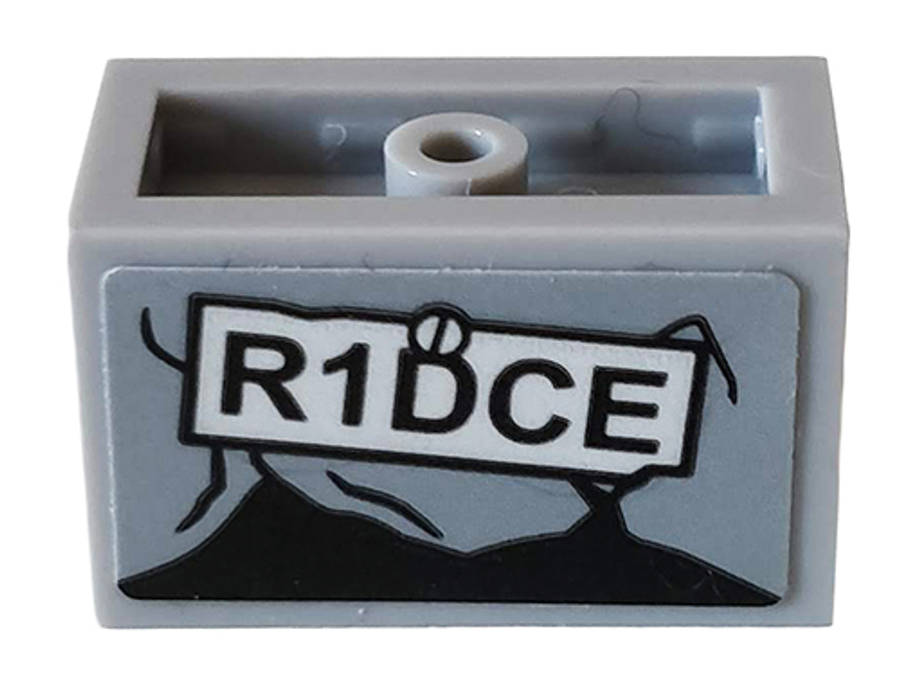 Lego (U) ~ Panel 1 x 2 x 1 with Rounded Corners and 2 Sides with 'R1DCE' and  ~ [Light Bluish Gray]