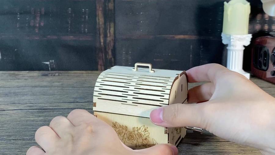 3D Puzzle Musical Instrument Model Style Hand Treasure