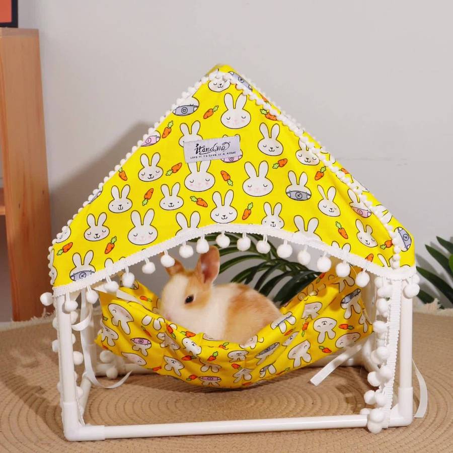 Pet Supplies Color Yellow Rabbit