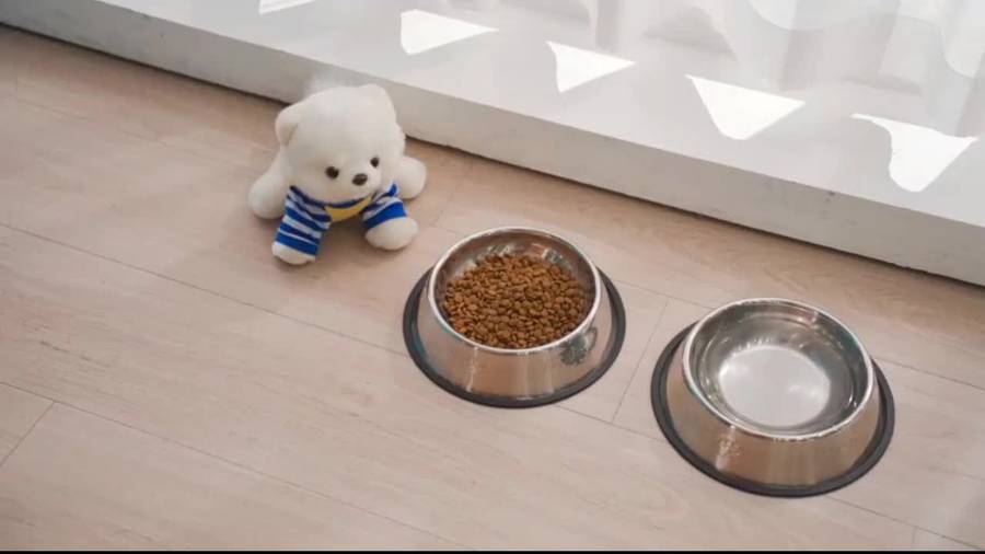 Pet Supplies Model Length  8.5 Inches 21.6 Cm