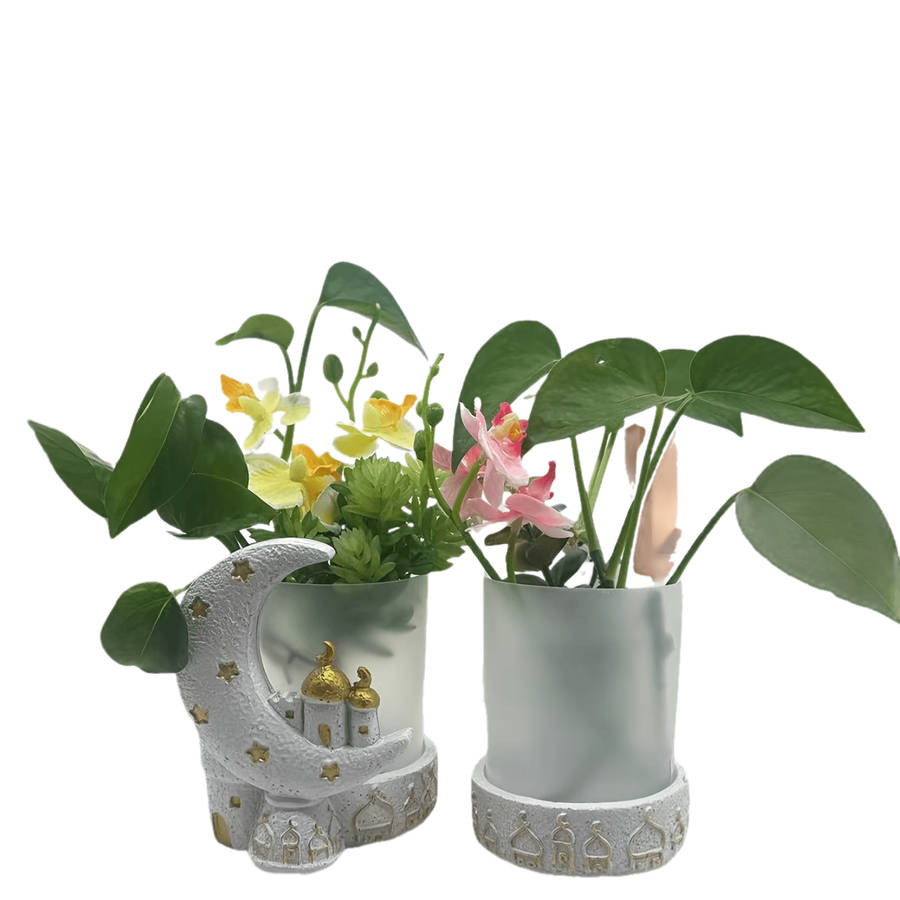 Flowerpotsize 11 5Cmx9 5Cmx13Cmcolor White Add Golden