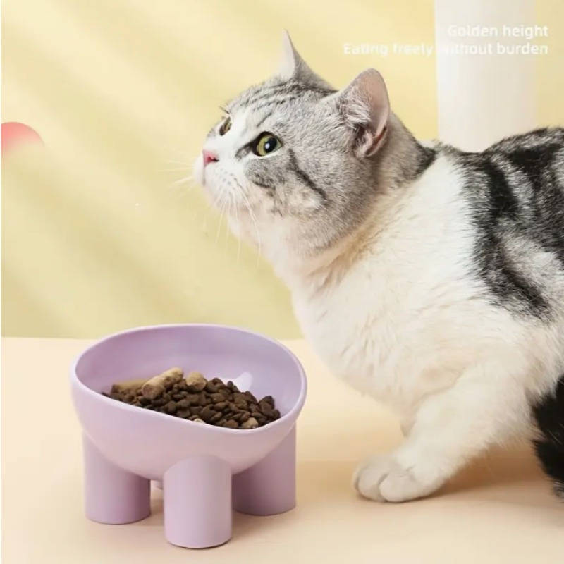 Pet Supplies Color Assorted Varieties Quantity 4 Piece Set