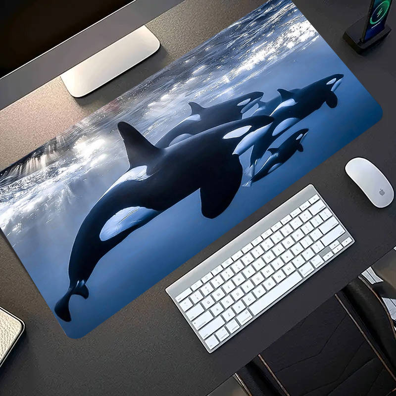Mouse Pad Size 50X100Cm
