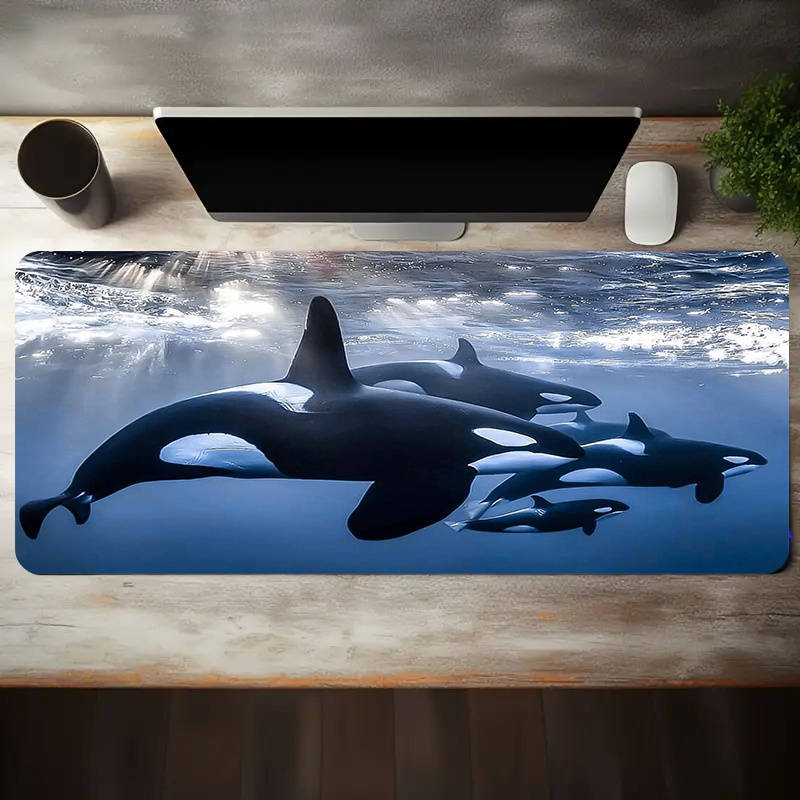 Mouse Pad Size 50X100Cm