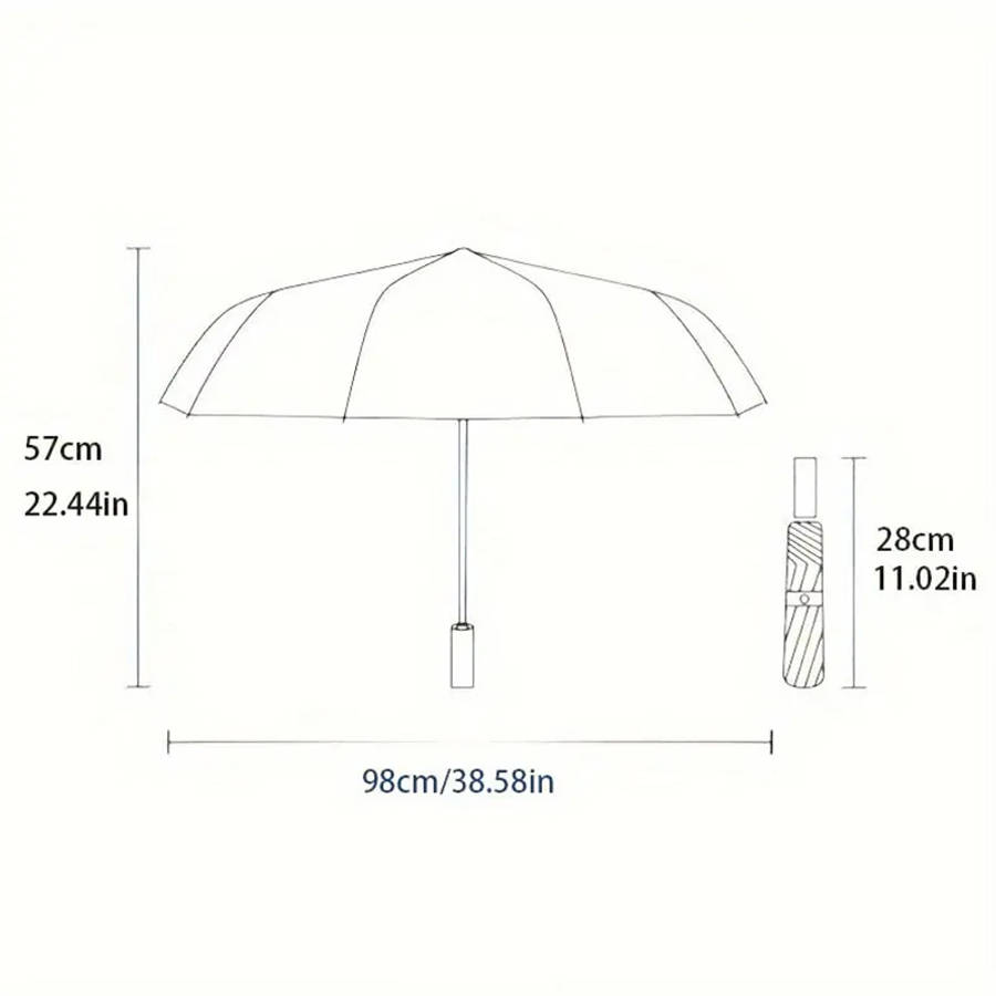 Umbrella Color Assorted Varieties